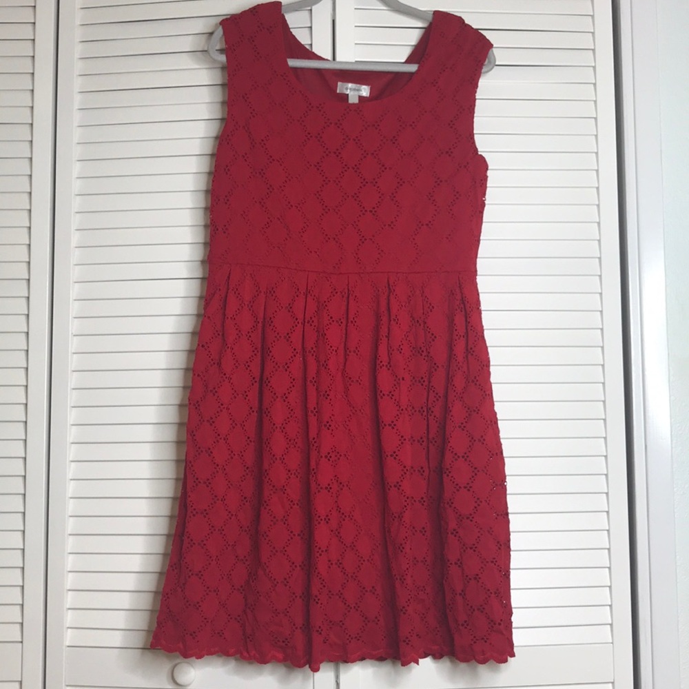 Dress Barn Lace Dress